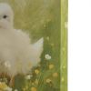 Chicks Canvas Wall Art