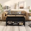 Lift Top Coffee Table with Storage Lower Shelf